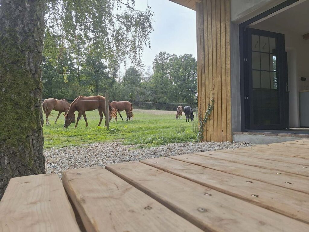Pohled z terasy do koňského výběhu