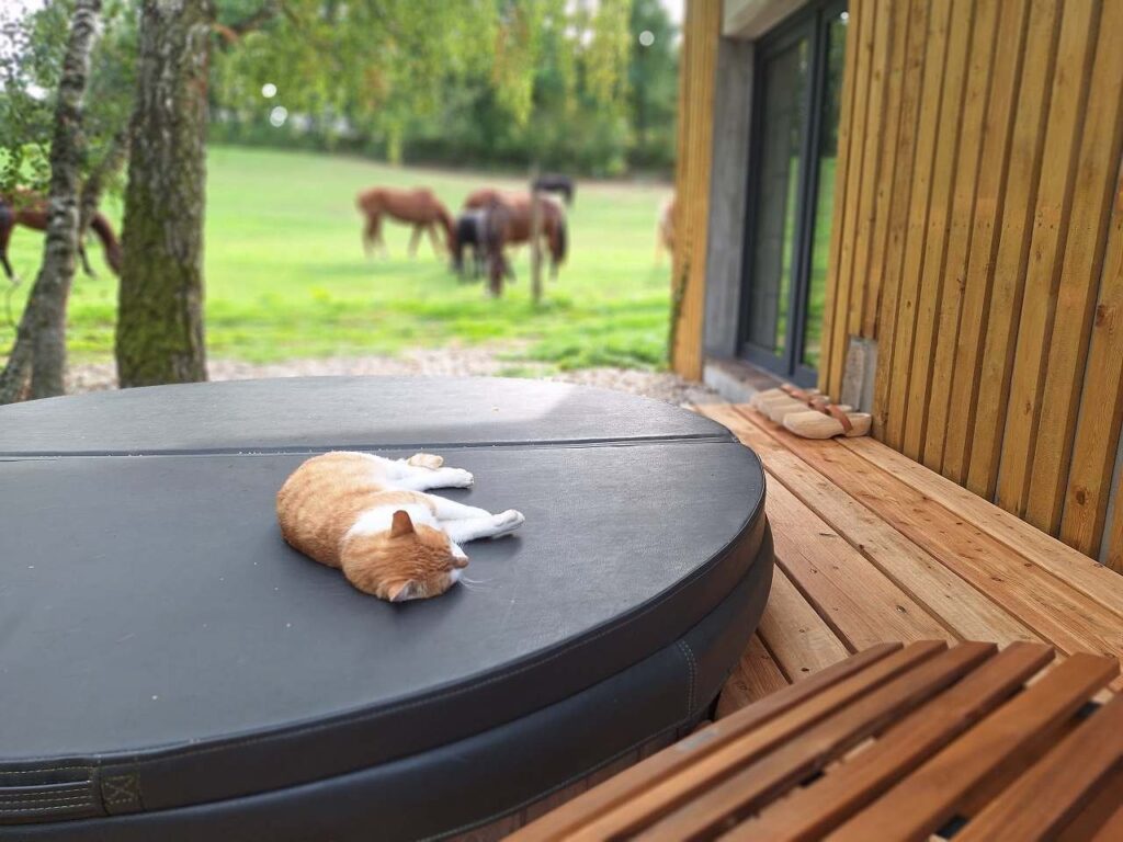 Relax zóna